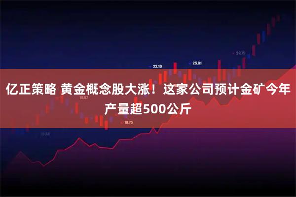 亿正策略 黄金概念股大涨！这家公司预计金矿今年产量超500公斤